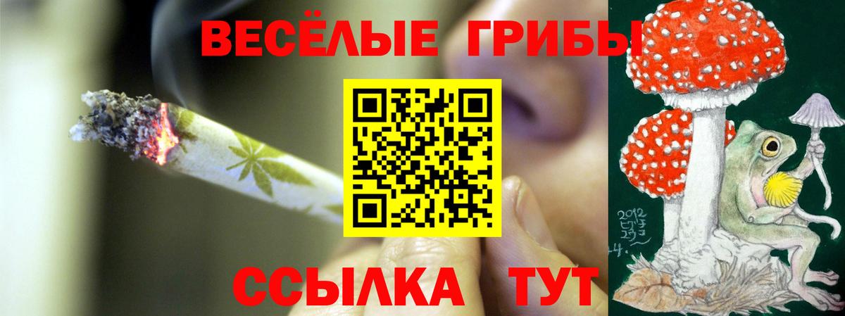 Галлюциногенные грибы Psilocybe Чита