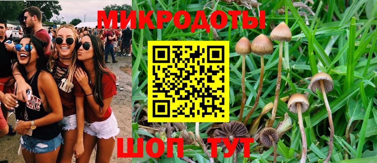 Чита  Галлюциногенные грибы MAGIC MUSHROOMS  Вход с VPN  Галлюциногенные грибы Psilocybine cubensis 